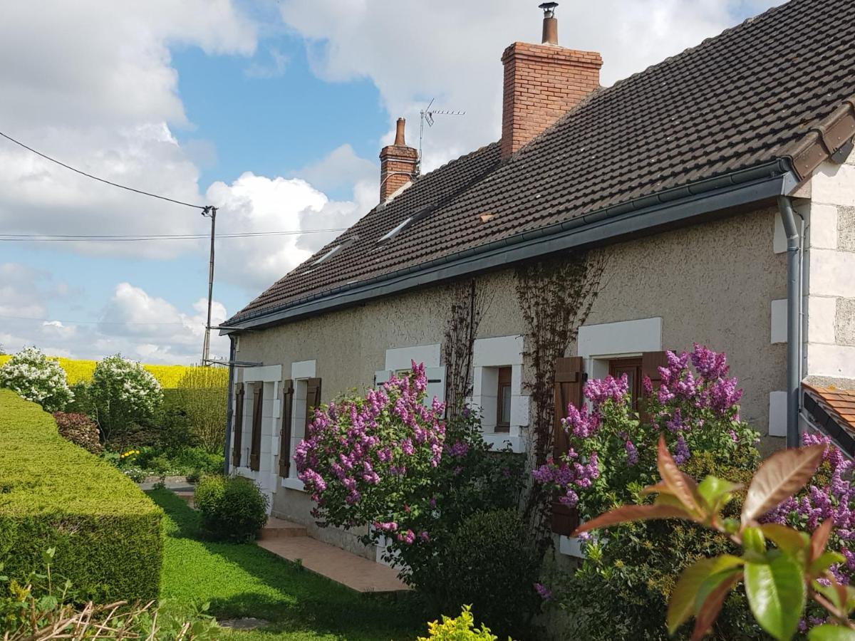 Chambres D'Hotes Anne-Marie Châtillon-sur-Indre Esterno foto
