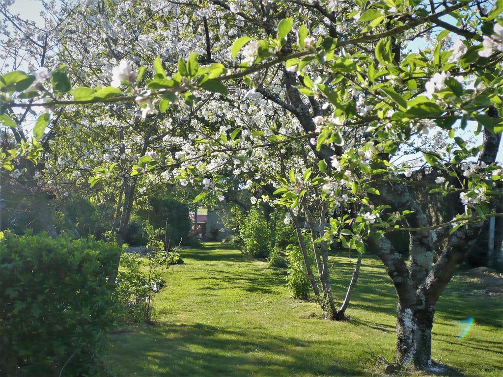 Chambres D'Hotes Anne-Marie Châtillon-sur-Indre Esterno foto