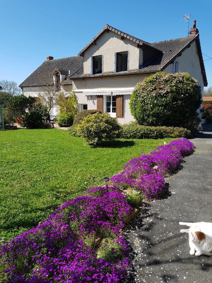 Chambres D'Hotes Anne-Marie Châtillon-sur-Indre Esterno foto