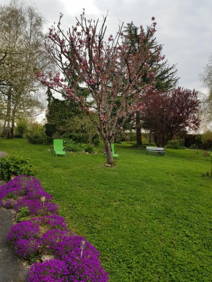 Chambres D'Hotes Anne-Marie Châtillon-sur-Indre Esterno foto