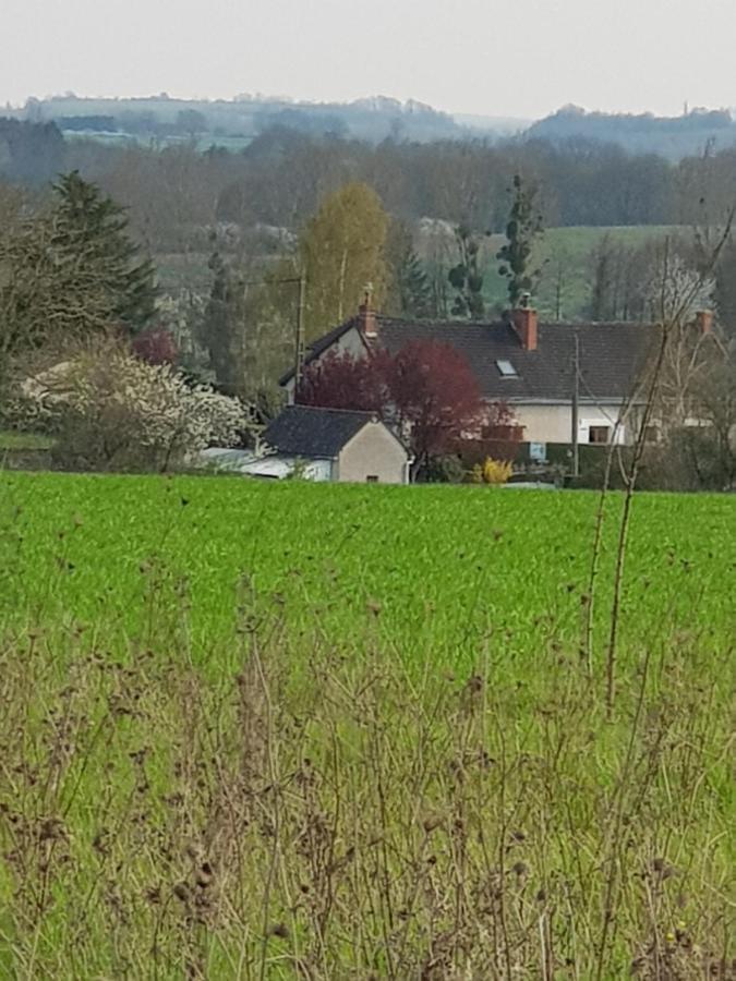 Chambres D'Hotes Anne-Marie Châtillon-sur-Indre Esterno foto