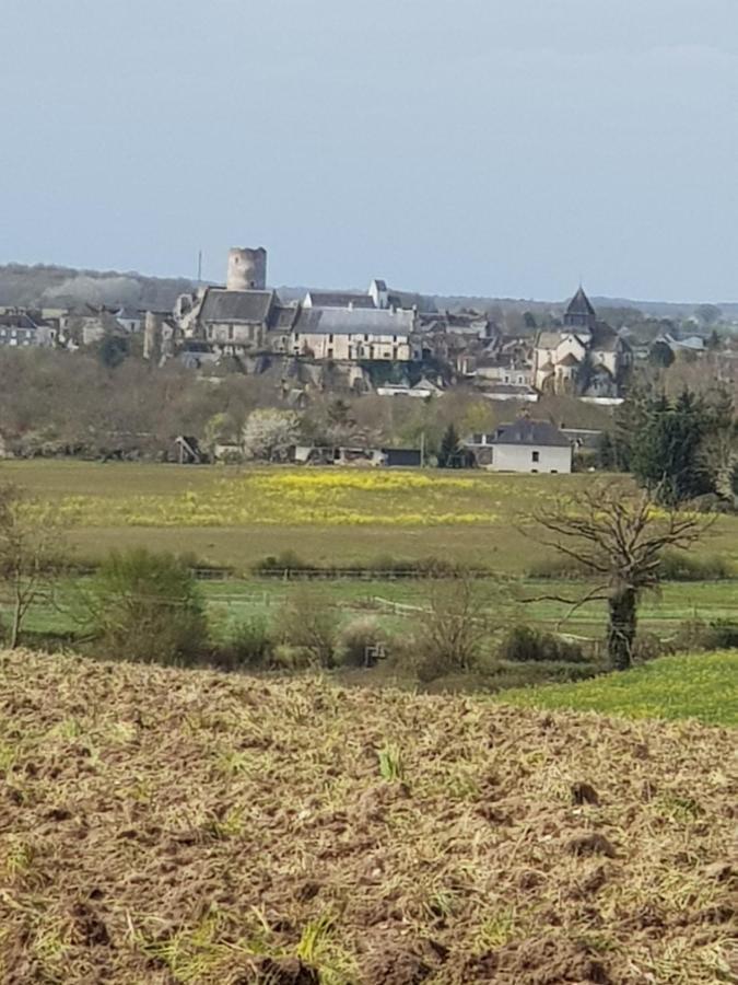 Chambres D'Hotes Anne-Marie Châtillon-sur-Indre Esterno foto